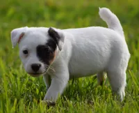 processed/2bea075f-1eee-4965-b141-049fda8cfe45/listing/816ae984-50d4-4e12-af66-96401a941ceb/343844d7-ef18-4271-b0f6-ba673bd20ae7