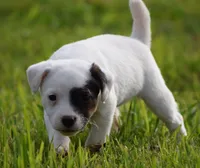 processed/2bea075f-1eee-4965-b141-049fda8cfe45/listing/816ae984-50d4-4e12-af66-96401a941ceb/59f368c3-b285-4404-897d-4fd6cd3284c5