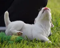 processed/2bea075f-1eee-4965-b141-049fda8cfe45/listing/9c2bb21e-65b6-4799-825f-8214dd37ea8c/405afd8f-347c-455e-96b6-f5faef299efb