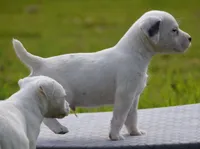 processed/2bea075f-1eee-4965-b141-049fda8cfe45/listing/9c2bb21e-65b6-4799-825f-8214dd37ea8c/597a13cb-6dd7-45bb-bfd4-91090986c296