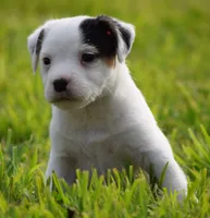 processed/2bea075f-1eee-4965-b141-049fda8cfe45/listing/9c2bb21e-65b6-4799-825f-8214dd37ea8c/9746f033-9076-4d1b-a393-370ba73eba41