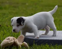 processed/2bea075f-1eee-4965-b141-049fda8cfe45/listing/9c2bb21e-65b6-4799-825f-8214dd37ea8c/e209ad01-073a-4b92-a1a2-e83d9ba9dffd