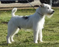 processed/2bea075f-1eee-4965-b141-049fda8cfe45/listing/ce9e40f3-95cb-43e7-80dc-6d903287cc05/7435230d-b6c2-4609-be37-edce650018fd