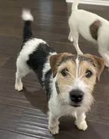 processed/2bea075f-1eee-4965-b141-049fda8cfe45/listing/ce9e40f3-95cb-43e7-80dc-6d903287cc05/80905f9d-6d78-42b2-ad88-4b32de9afb24