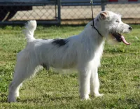 processed/2bea075f-1eee-4965-b141-049fda8cfe45/listing/ce9e40f3-95cb-43e7-80dc-6d903287cc05/e1ed7884-818b-43d0-9ded-b631d2a95568