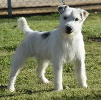 processed/2bea075f-1eee-4965-b141-049fda8cfe45/listing/ce9e40f3-95cb-43e7-80dc-6d903287cc05/f16141cb-b998-46c1-9bfc-9bb2b054ed23