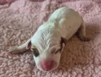 processed/2bea075f-1eee-4965-b141-049fda8cfe45/listing/d507f284-df80-4351-be6f-05350fa7b51f/1d7189f8-2b7c-4695-91d2-9868637190a8