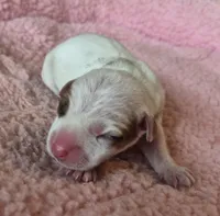 processed/2bea075f-1eee-4965-b141-049fda8cfe45/listing/d507f284-df80-4351-be6f-05350fa7b51f/c5b87607-e530-4658-9be6-860c64831d2b