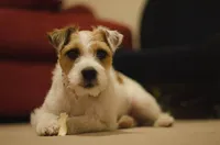 processed/2bea075f-1eee-4965-b141-049fda8cfe45/listing/dadd3be3-07d7-4fdf-951b-b6891749b15a/00f88f9f-836a-498c-ac1a-a9fc46f459db