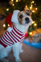 processed/2bea075f-1eee-4965-b141-049fda8cfe45/listing/dadd3be3-07d7-4fdf-951b-b6891749b15a/96b22acc-0f47-4bc4-a545-4e01272b8b03