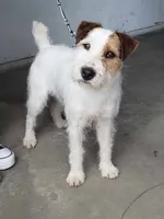 processed/2bea075f-1eee-4965-b141-049fda8cfe45/listing/f9258713-4790-445a-b029-d7842b109bcd/16627e8e-06dd-466d-a35e-a9c54d0561f4