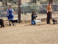 processed/2bea075f-1eee-4965-b141-049fda8cfe45/listing/f9258713-4790-445a-b029-d7842b109bcd/56e682d1-000d-4ffb-9404-6385db6ed120