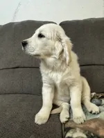 processed/2bf3caac-42db-49ad-82df-086ca4150ef9/listing/375641b9-7307-4355-879a-66b90acf67ce/46feb8d2-c4f5-41e3-aeab-ed67ed692284