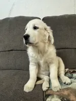 processed/2bf3caac-42db-49ad-82df-086ca4150ef9/listing/375641b9-7307-4355-879a-66b90acf67ce/b4f2fa16-cb60-4da8-8721-e375f4c98b79