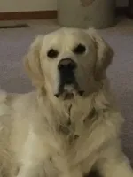 processed/2bf3caac-42db-49ad-82df-086ca4150ef9/listing/375641b9-7307-4355-879a-66b90acf67ce/f7e17ba6-bb43-457a-9dd0-69a5bb454940