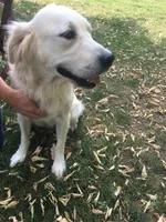 processed/2bf3caac-42db-49ad-82df-086ca4150ef9/listing/6fbf7b6b-6604-427f-93a6-390af184451a/f6e788d0-f2ed-4b1b-8e71-332c63552321