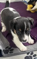 processed/2bfd83cd-aed2-4f77-9027-1410c3a21274/listing/1d3c5393-439d-4910-bef3-93867c4a0370/09a5793d-3247-4be9-8124-4b70f79c0883