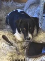 processed/2bfd83cd-aed2-4f77-9027-1410c3a21274/listing/1d3c5393-439d-4910-bef3-93867c4a0370/1f3758e2-2d97-4f4b-8ed5-63d4f8e784a9