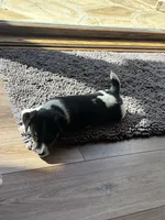 processed/2bfd83cd-aed2-4f77-9027-1410c3a21274/listing/1d3c5393-439d-4910-bef3-93867c4a0370/2e7ee4f7-3fcb-4e75-85c3-3d6a54fdc75a