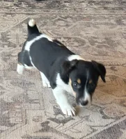 processed/2bfd83cd-aed2-4f77-9027-1410c3a21274/listing/1d3c5393-439d-4910-bef3-93867c4a0370/815535ad-7ecf-4165-9fc8-ac251d2fb208