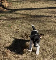 processed/2bfd83cd-aed2-4f77-9027-1410c3a21274/listing/1d3c5393-439d-4910-bef3-93867c4a0370/aaecb1f3-2684-4b46-81ee-0483621e3203