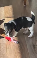 processed/2bfd83cd-aed2-4f77-9027-1410c3a21274/listing/1d3c5393-439d-4910-bef3-93867c4a0370/b201f15d-3452-4bd4-8e15-b2900074e2b9