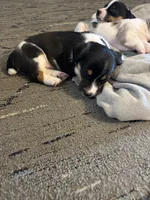 processed/2bfd83cd-aed2-4f77-9027-1410c3a21274/listing/1d3c5393-439d-4910-bef3-93867c4a0370/c6f33a5c-3434-4511-bbc7-0db3175fb6ef