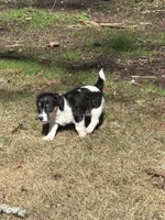 processed/2bfd83cd-aed2-4f77-9027-1410c3a21274/listing/1d3c5393-439d-4910-bef3-93867c4a0370/cd780e08-f488-4b49-a49f-1fae0e211dfd