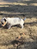 processed/2bfd83cd-aed2-4f77-9027-1410c3a21274/listing/40a843da-cf8c-4fdc-a71c-69fb75f499a6/35045fac-3362-416d-b51e-d5e8b9fc0ef1