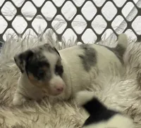 processed/2bfd83cd-aed2-4f77-9027-1410c3a21274/listing/40a843da-cf8c-4fdc-a71c-69fb75f499a6/5c75d53d-1cc9-45c9-9eee-9946d844ea10