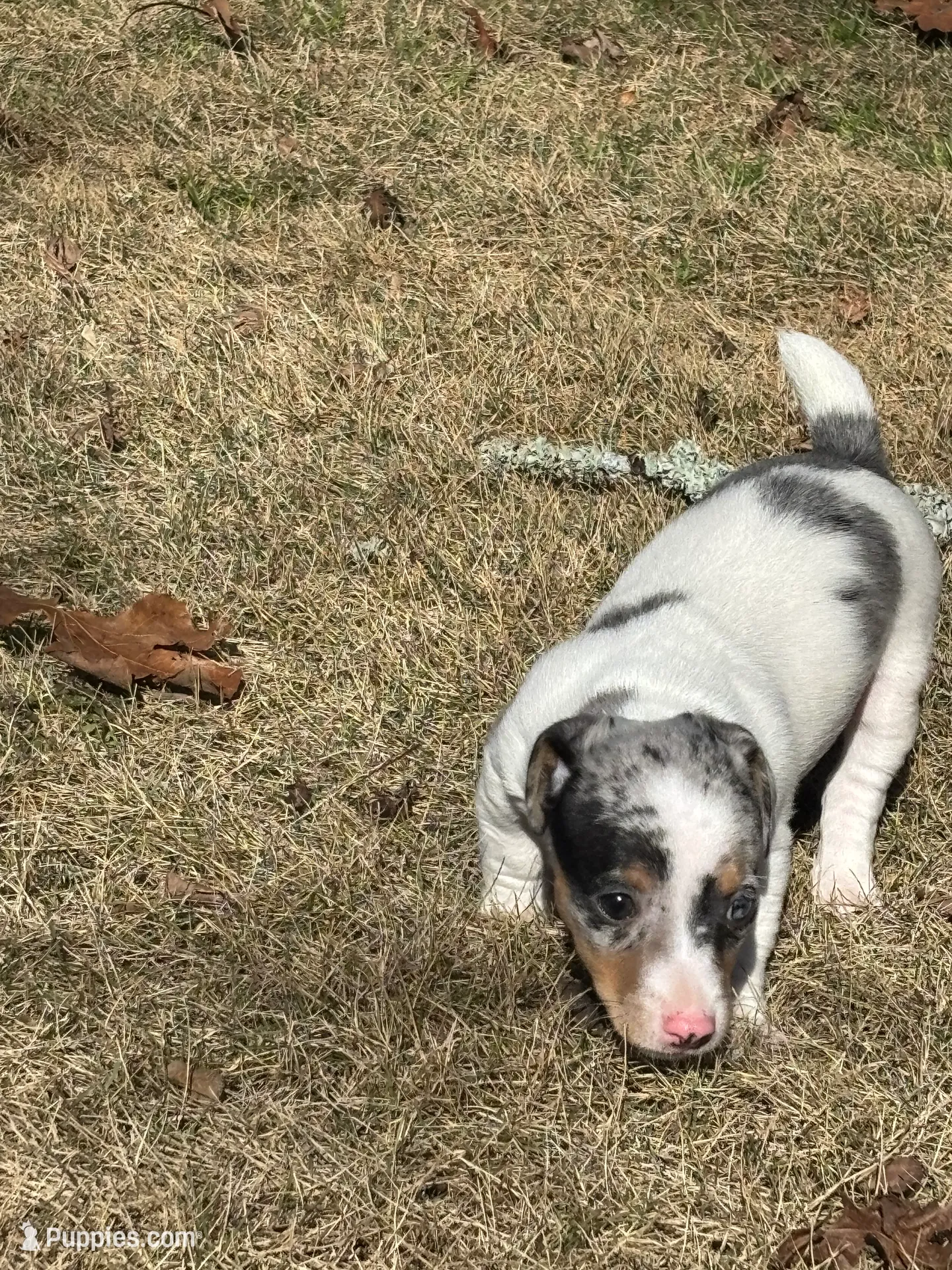 processed/2bfd83cd-aed2-4f77-9027-1410c3a21274/listing/40a843da-cf8c-4fdc-a71c-69fb75f499a6/7eab0e00-9a4c-4fbf-8de8-f81d9b92b76f