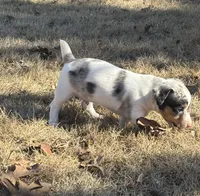 processed/2bfd83cd-aed2-4f77-9027-1410c3a21274/listing/40a843da-cf8c-4fdc-a71c-69fb75f499a6/a696ff09-e19c-4902-9610-b6b074731af3