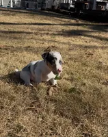 processed/2bfd83cd-aed2-4f77-9027-1410c3a21274/listing/40a843da-cf8c-4fdc-a71c-69fb75f499a6/aacbadd3-3f83-4636-aecd-c0329e4758a8