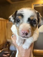 processed/2bfd83cd-aed2-4f77-9027-1410c3a21274/listing/40a843da-cf8c-4fdc-a71c-69fb75f499a6/e6fa941b-dd77-4093-a2ad-f02594240ef5