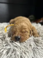 processed/2bff5340-821c-427b-b7ec-08c92e1b0825/listing/8b2b7575-dcf7-432e-ad89-ea4bbd7e6a35/4057178f-50a0-4b85-b237-9d49fe5bfa6b