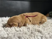 processed/2bff5340-821c-427b-b7ec-08c92e1b0825/listing/afebfa1e-2082-4d66-aebf-52c4e8adccba/dff01a1d-bb03-4cca-bcdd-e3e1573f1e9d