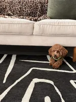 Mylo, a male Poodle - Toy  for sale in Sanford, FL – 6 of 6