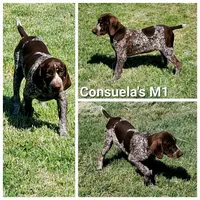 processed/2c0b0f31-c04c-4985-8129-4d7cc087cab9/listing/1aceeadd-89cf-49e4-ae89-9b67ba5784b3/2e7b42d9-a0ae-4c5e-8d96-49ea65285d33