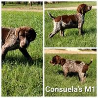 processed/2c0b0f31-c04c-4985-8129-4d7cc087cab9/listing/1aceeadd-89cf-49e4-ae89-9b67ba5784b3/8cdf52b9-3dca-4fc3-88f6-0397097e6be5