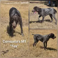 processed/2c0b0f31-c04c-4985-8129-4d7cc087cab9/listing/1aceeadd-89cf-49e4-ae89-9b67ba5784b3/c744779e-fb3d-450d-ac82-e8f97e445166