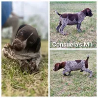 processed/2c0b0f31-c04c-4985-8129-4d7cc087cab9/listing/1aceeadd-89cf-49e4-ae89-9b67ba5784b3/f304a84b-9a6e-4560-8984-c9d5763f961f