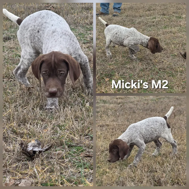 Micki's M2