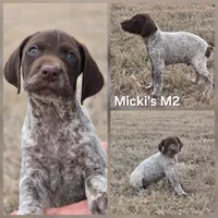 processed/2c0b0f31-c04c-4985-8129-4d7cc087cab9/listing/57098ff5-229b-407e-9990-f5cd95bc13ef/c60f76c0-fc9f-4adb-80d6-2d88d48e0ef8