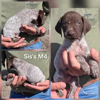 processed/2c0b0f31-c04c-4985-8129-4d7cc087cab9/listing/8c64166d-7bba-4ac4-9ae0-236990d74b1a/88d1620b-a58d-433a-8bbf-cd57f1c5b5cb