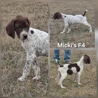 processed/2c0b0f31-c04c-4985-8129-4d7cc087cab9/listing/e7414716-c9d7-4b10-bad2-6509008d1a87/5316389c-50af-4343-8b6a-4fc6c338d6ee