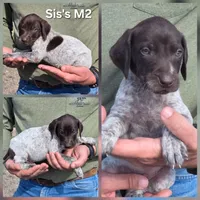 processed/2c0b0f31-c04c-4985-8129-4d7cc087cab9/listing/f0fbb248-adcd-4b5e-9b77-ab13d8d4cd1a/3ca4baa8-2f4e-482e-addb-e7c3e0c98093