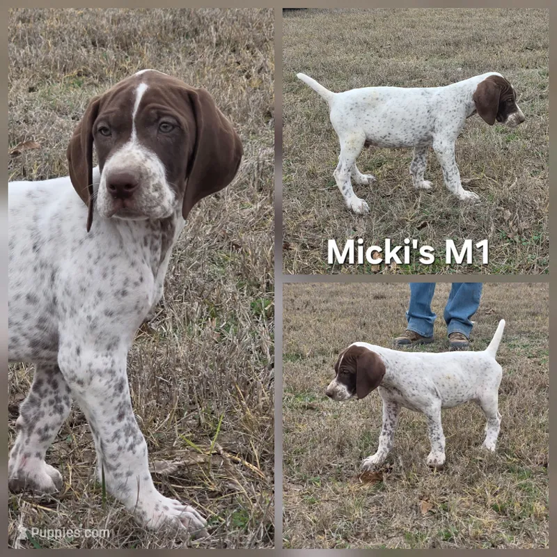 Micki's M1