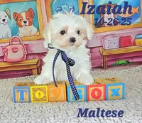 processed/2c0f7daa-3c58-4b05-bcf1-b9562933789e/listing/0c4f2d82-1038-42af-abfd-b5ec1259bb04/75464d37-599d-42e2-a56d-28c13fd8c530