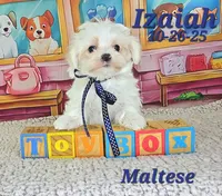 processed/2c0f7daa-3c58-4b05-bcf1-b9562933789e/listing/0c4f2d82-1038-42af-abfd-b5ec1259bb04/a76ef195-3db6-4676-9295-9674daaf37a1