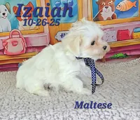 processed/2c0f7daa-3c58-4b05-bcf1-b9562933789e/listing/0c4f2d82-1038-42af-abfd-b5ec1259bb04/f7849911-0a30-4dde-9ddc-fa32900242f7